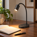 qevzun Arc Reading Desk Lamp